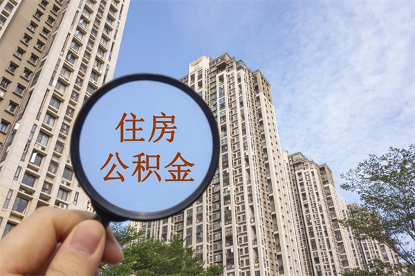 垦利辞职了补充公积金能取不（辞职后补充公积金如何提取）